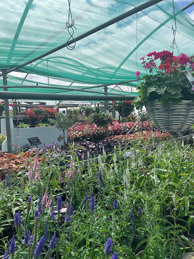 Brooklea Nurseries - Visual