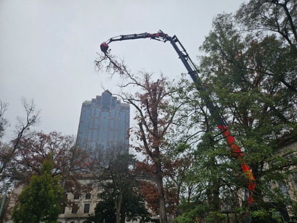 CS Tree Services Inc
