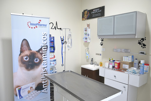 Veterinaria Laredo - Thumbnail