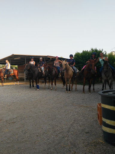 Zoo Ranch - Visual