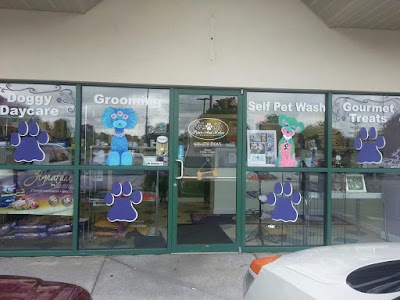 Paws & Relax Pet Spa