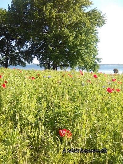 Photos of Stubbek&oslash;bing Havn