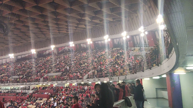 Opinii despre Στάδιο Ειρήνης και Φιλίας în Πειραιάς - Αθλητικό συγκρότημα