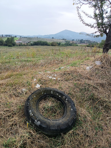 Il Copetone - Visual