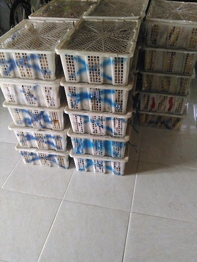 Photos of Parno Bakery