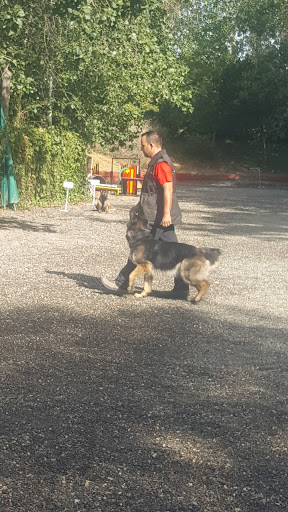 Parque Canino Escuela Canina Municipal - Thumbnail