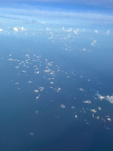 Jetblue Airlines - Thumbnail