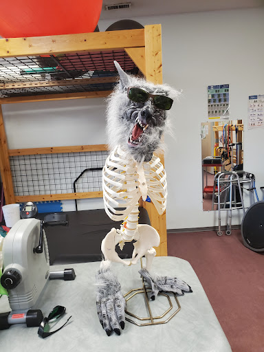 North Kamloops Physiotherapy - Thumbnail
