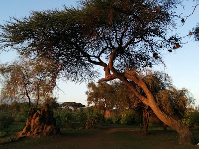 Photos of Kimana Amboseli Camp