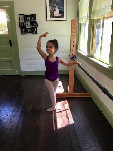 Camino Classical Ballet LLC Gallery - United States
