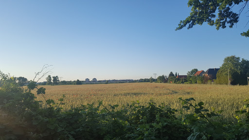 Ermler Immobilien - Thumbnail