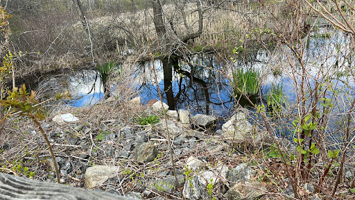 Blackstone River Bikeway Parking - Thumbnail