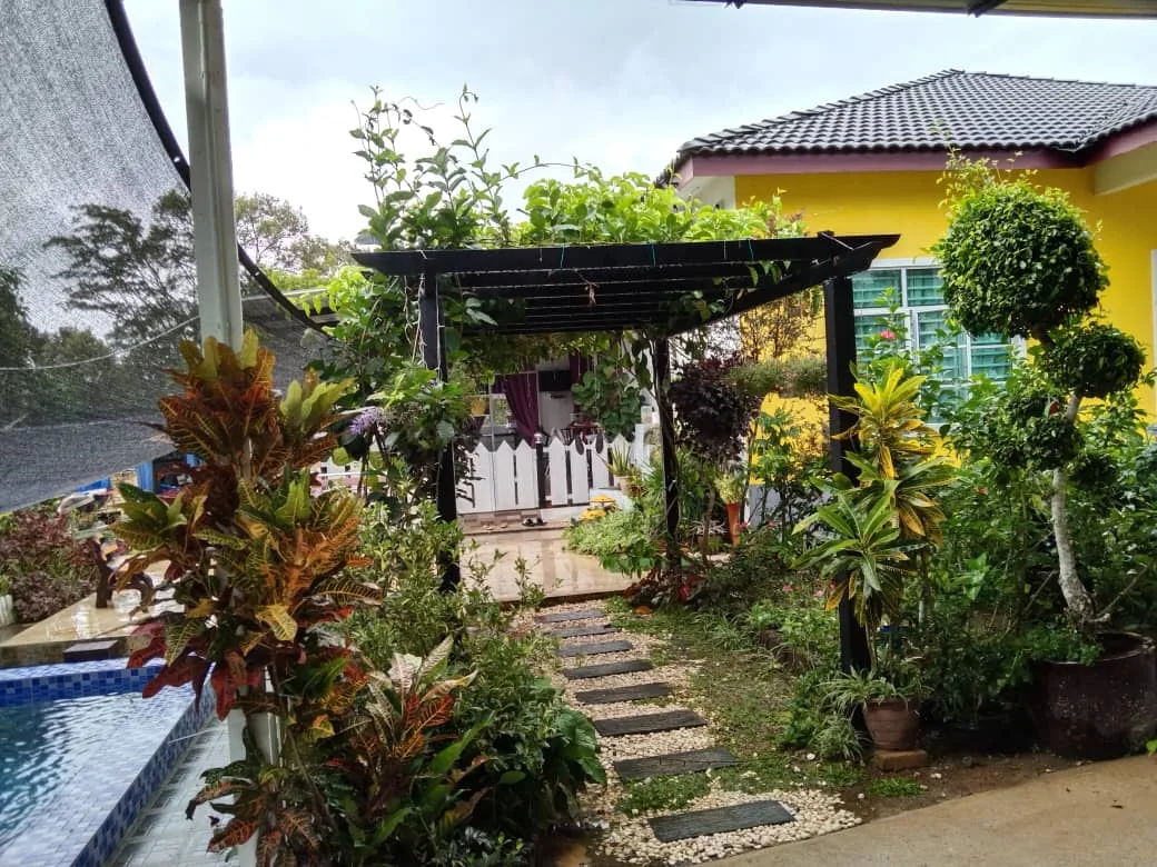 D Yellow Guestroom