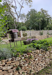 Photo n°24 de Vigne Envie à Guérard (Caviste)