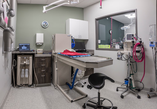 Homewood Veterinary Care - Thumbnail