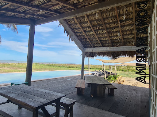 Punta Palmares - Visual