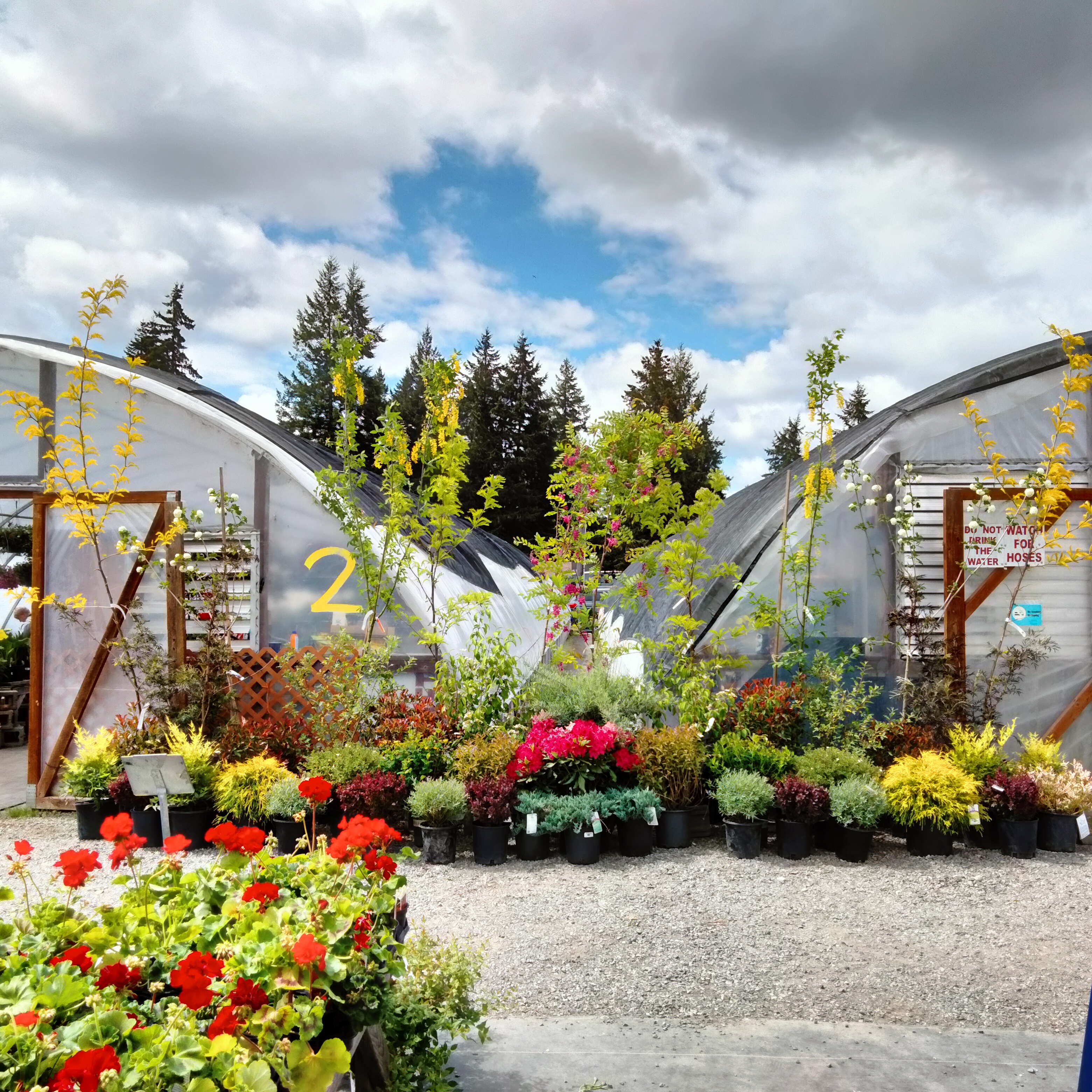 Jason's Greenhouse Inc