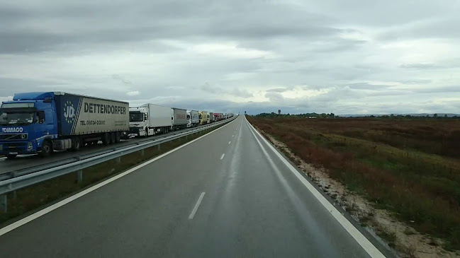 Usługi Transportowe i Handel Obwoźny Art. Przemysłowo-Spożywczymi Lidia Dubiel