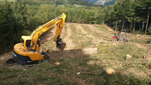 Photo n°10 de Savey Nicolas à Massignieu-de-Rives (Société de transport routier)