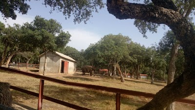 Photos of promotion boulkaria