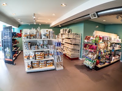 Photos of Four Paws Pet Resort