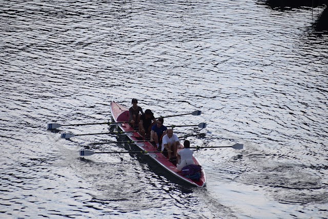 Rowing Club Marseille ( association sportive)