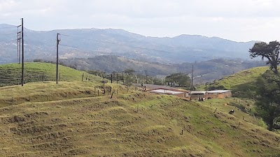 Photos of Balsa