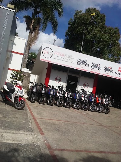 Photos of PEDRIBEL Motors