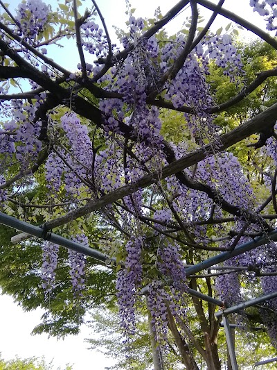 小諸市児童遊園地 Saku Shi Nagano 81 267 22 0296