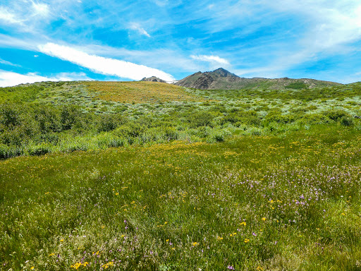 Lye Creek Campground
