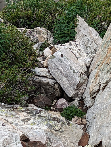 Mirror Lake Picnic Area - Thumbnail