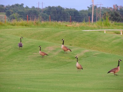 Riverside Golf Course