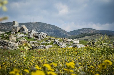 Ancient Temple Of Apollon