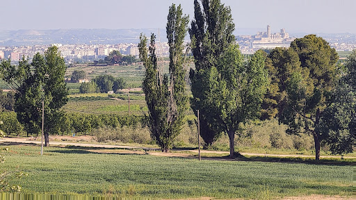 Tossal d'Albatàrrec - Visual