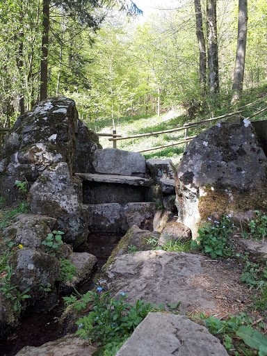 Lütterquelle - Visual