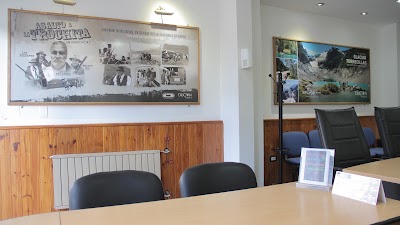 travel-agency