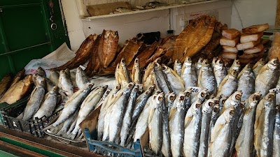 Photos of Volna