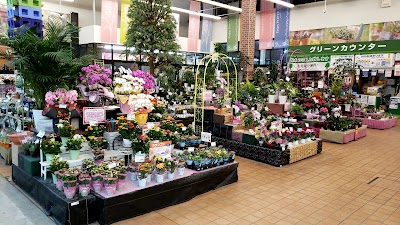 コメリパワー 新発田店 Kashiwazaki Shi Niigata 81 254 1050
