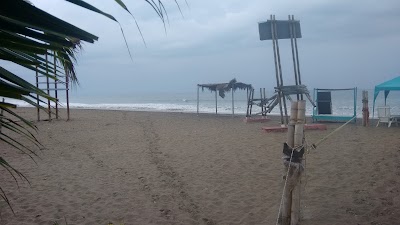 Photos of Hostal Guacamayo