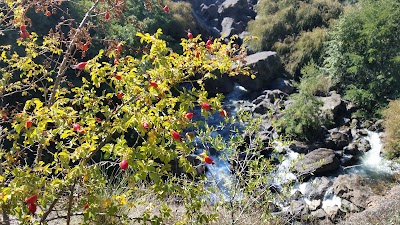 Photos of Turismo Ruykun