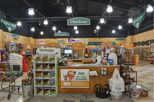 Horses & Hounds Gallery - United States