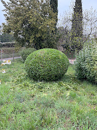 Photo n°17 de AZEVEDO PAYSAGE (SAS) à Bourg-Saint-Andéol (Paysagiste)
