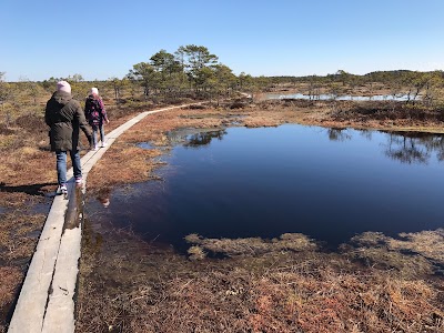 Photos of Kakerdaja bog
