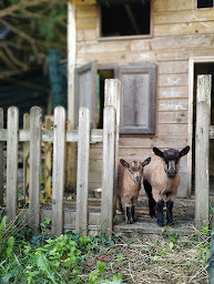 Photo n°8 de ITSAS LURRA à Pouillon (Gîte)