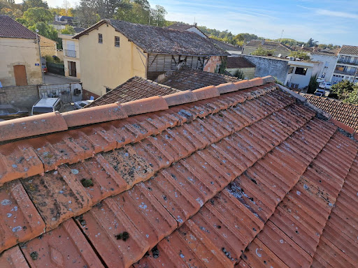 Photo de Riva tyller couvreur entretien toiture - Réparation Démoussage Tuiles Couverture 47 Lot-et-Garonne Aiguillon Agen Tonneins à Buzet-sur-Baïse (47160)