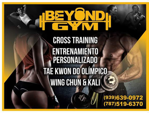 Beyond Gym, Patriotas Taekwondo y Wing Chun & Kali System Gallery - United States