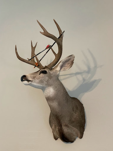 Whitaker's Wild Game - United States