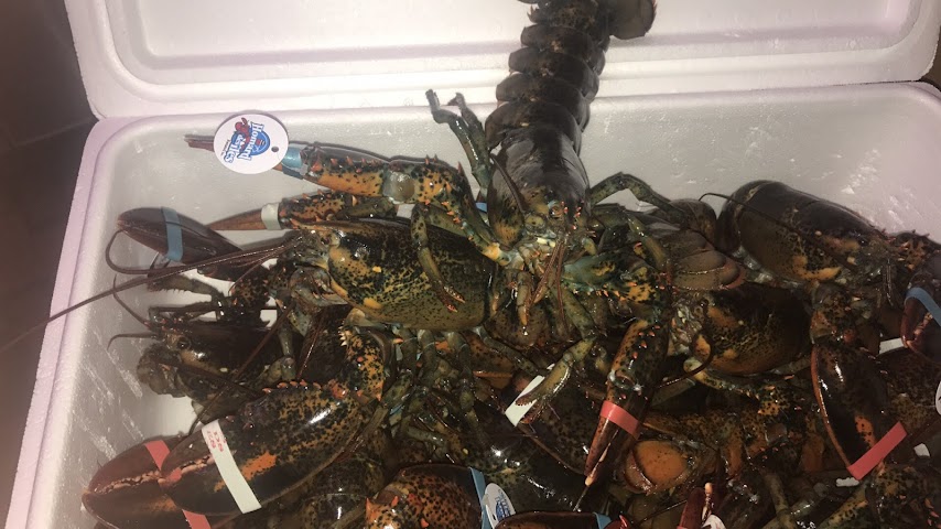 Restaurant Casa Vinho by null