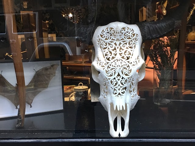 Le Cabinet de Curiosités des Batignolles