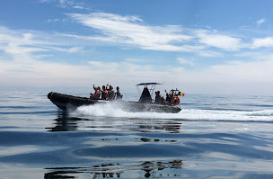 Photo n°1 de Escapade marine,balade en mer à belle ile en mer (Agence d'excursions en bateau)